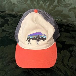 Patagonia Baseball Cap
